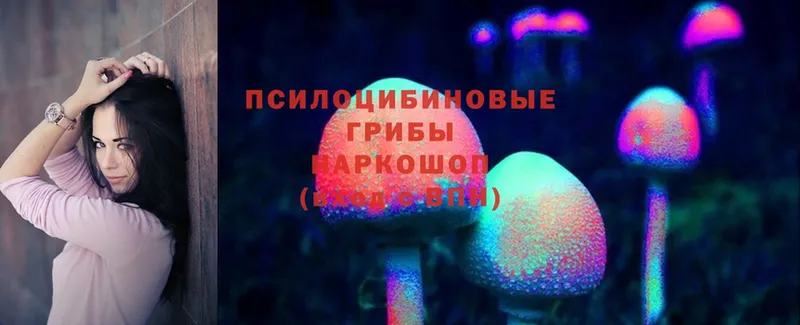 Галлюциногенные грибы MAGIC MUSHROOMS  ОМГ ОМГ как войти  даркнет Telegram  цены   Богданович 